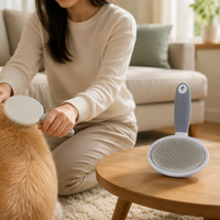 Kit de toilettage professionnel pour animaux de compagnie, service OEM personnalisé en usine, brosse lissante à coussin d'air, aiguilles en acier inoxydable pour poils de chiens/chats