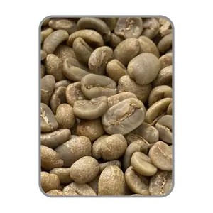 Arabica Catimor düşük fiyat tedarikçisi kalite Robusta kahve özelleştirilmiş ambalaj yeşil kahve çekirdekleri Vietnam ürün üreticisi