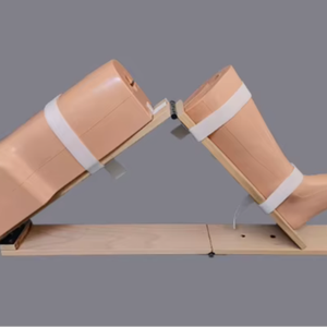 Modèle d'enseignement médical chirurgical de la jambe gauche fixée - Modèle anatomique du chromosome X en PVC de haute qualité pour l'entraînement - Product Image 1