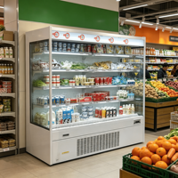 Vitrine Réfrigérée Multi-Étagères Sans Givre, Réfrigérateur Commercial à Inverter pour Présentation et Stockage de Viandes