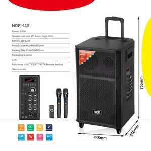 NDR-415 Enceinte sur chariot double 15 pouces 12V12A 100W pour fêtes en extérieur et usage domestique, avec USB, TWS, connexion sans fil, NDR-415, grande puissance, woofer - Product Image 3