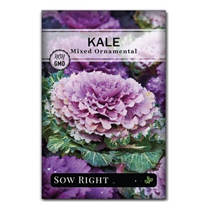 Confezioni di Semi Biologici Non-OGM di Varietà Tradizionali per Fiori Primaverili e Autunnali: Pansie, Violette, Lupini da Giardino - Product Image 5