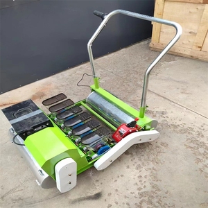 بذور الجسيمات الصغيرة الدقيقة الدقيقة لزراعة بذور الكرنب والفجل والخضراوات - Product Image 6