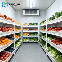 Chambre froide isolée tout-en-un à faible consommation d'énergie pour la conservation longue durée de tous les aliments
