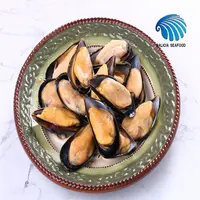 hot selling frozen half shell mussel with cheap price