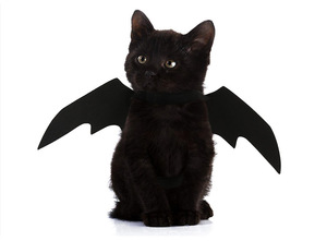 Disfraces de <span class=keywords><strong>Halloween</strong></span> para Gatos, Chalecos de Poliéster con Estampado Animal, Ropa para Mascotas, Accesorios para Disfraces de Fiesta para Perros Pequeños, Cachorros y Gatitos - Product Image 6