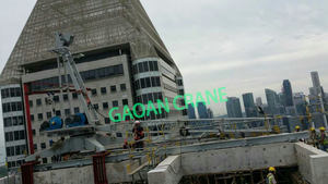 Grues de toit WD80 8t - Product Image 4