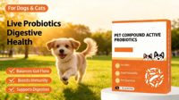 Complément alimentaire probiotique actif pour la santé digestive des chats et des chiens, soulagement des selles molles et de la diarrhée, 5 g