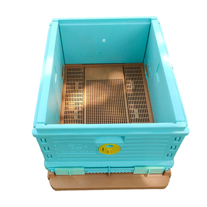 Caja de <span class=keywords><strong>colmena</strong></span> de plástico de doble capa HDPE Langstroth Beehive 10 Frame Thermo Plastic Bee Hive - Product Image 5