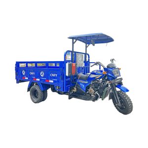 Nouveau, d'occasion, 3 roues, trois places fermées, essence, pièces détachées, adultes, transport de marchandises, livraison, passagers, moteur, tricycle, scooter, motorisé - Product Image 6
