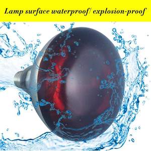 BONGBADA <span class=keywords><strong>Amazon</strong></span> peinture Offres Spéciales ampoule rouge <span class=keywords><strong>lampe</strong></span> à chaleur infrarouge pour caneton bébé canard - Product Image 5