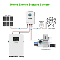 Batterie solaire domestique murale Delongtop Powerwall 24V 25.6V LiFePO4 100Ah 200Ah 300Ah 314Ah 2.5Kwh 5Kwh 8Kwh pour stockage d'énergie - Vente en gros