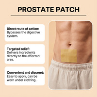 Patchs de Soin de la Prostate au Gingembre Herbal, 10 Pièces, Absorption Transdermique, Chaleur Douce, Soulagement de l'Inconfort Masculin