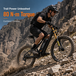 Bicicleta de Montaña DH420 de 27.5 Pulgadas, 750W, 48V, 20Ah, 80km, Cuerpo de Aluminio, Venta al Por Mayor de Fábrica, Motor Dual - Product Image 5