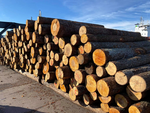 Gỗ sồi bền làm tròn các bản ghi của Tilia sycamore vv gỗ cao cấp có sẵn cho cả xây dựng và trang trí - Product Image 2