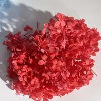 Groothandel Gedroogde Bloemen Gedroogde Echte Touch Bloemblaadjes Hortensia Bloem Voor Bruiloft Decor Geconserveerd Bloemboeket Arrangement
