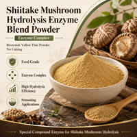 Additif alimentaire de qualité alimentaire : Formulation enzymatique de hydrolyse de Shiitake – Support pour la production en lots, fournisseur en gros de matières premières