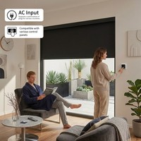 Persianas Enrollables Motorizadas Personalizadas Ilvia, Persianas Opacas con Marco, Persiana Enrollable de Plástico Transparente con Cierre, para Exteriores