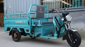 3 Wheel Motorcycle Transport Adult Tram Pull Goods Consignment Agricultural Electric Tricycle