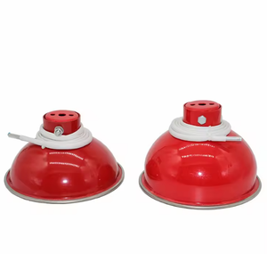 อุปกรณ์ดับเพลิงชนิดผงละเอียดพิเศษอัจฉริยะสำหรับรถยนต์ รุ่นใหม่ ขายดีที่สุดของจีน - Product Image 6