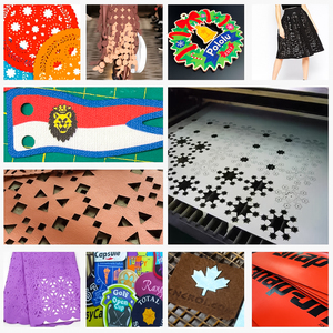 3018自动送料Ccd摄像机电脑织物激光切割机 - Product Image 3