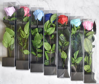 Rose éternelle E-1281, rose véritable préservée avec tige