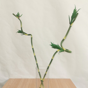 Vente en gros Plante de bambou <span class=keywords><strong>porte</strong></span>-<span class=keywords><strong>bonheur</strong></span> verte artificielle pour l'aménagement paysager intérieur et extérieur et la tenture murale - Product Image 1