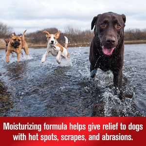 プライベートラベルホットスポットアレルギー保湿スキンリリーフかゆみ刺激薬用スプレー犬用 - Product Image 6