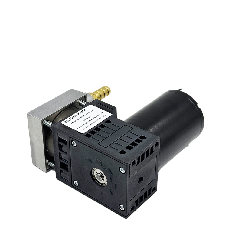 vacuum lifter pump