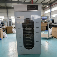 Professionele Cassave Vlees Industriële Commerciële Tray Groenten Dehydrator Voedsel Droogmachine Fruit Dehydrator Machine