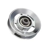 Rueda de polea plana para maquinaria de gimnasio, OEM, de aluminio sólido o hueco, paso de 100 mm