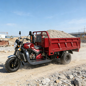 Tricycle à essence à 3 roues, très demandé, avec moteur refroidi par eau ou par air, pour adultes, idéal pour la livraison - Product Image 4