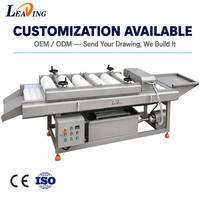 Medjool dadels borstelreinigingsmachine nylon zachte borstel groente fruit wasmachine voor palm verse gedroogde dadels voedselverwerking