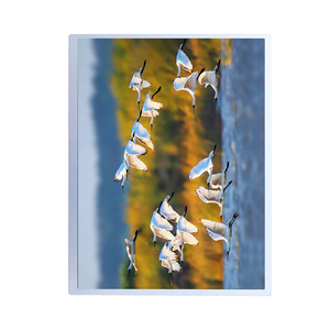 Módulo LCD TFT Industrial Original Innolux G104XCE-LH1 de 10.4 Pulgadas XGA 1024×768 AAS 1000nits LVDS 30 Pines Ultra Wide Temp - Product Image 5