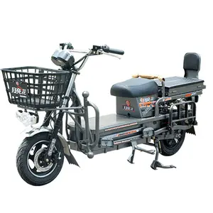 Proyecto todoterreno plegable de China, triciclo eléctrico de 2 ruedas, Scooter Eléctrico, motocicleta para adultos