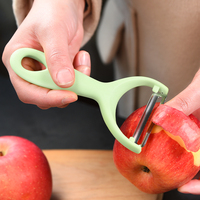 Fruit- en aardappelschiller van roestvrij staal met kunststof handvat, scherp en duurzaam voor de keuken