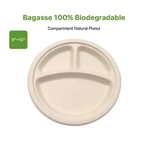 6 7 8 9 10 Inch Sugarcane Bagasse Pulp Compostable Biodegradable Disposable Sugar Cane Natural White Round Paper Plates