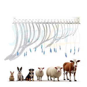 Tube endotrachéal avec cathéter d'aspiration-Instruments chirurgicaux vétérinaires pour chiens - Product Image 5