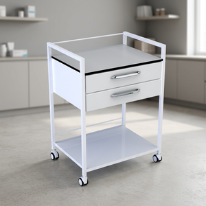 Carrito de Servicio con Doble Cajón CLEBER Modelo PISA 40015 para Uso Hospitalario, Capacidad de Carga de 200 lb, Garantía de 1 Año, Soporte Técnico en Línea - Product Image 2