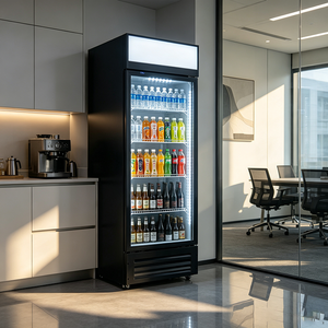 Réfrigérateur commercial vertical économique pour boissons, vitrine réfrigérée à refroidissement par air, porte vitrée, commande LED, verrou de porte - Product Image 5