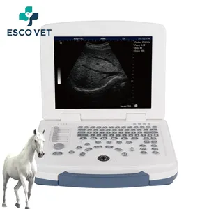 2024 Venda quente equino diagnóstico ultrassom eficiente e inteligente máquina de terapia de ultrassom retal para cavalos