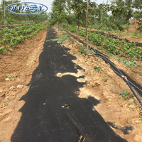 Nouveau produit : Rouleaux de tissu non tissé en polypropylène pour le contrôle des adventices en agriculture