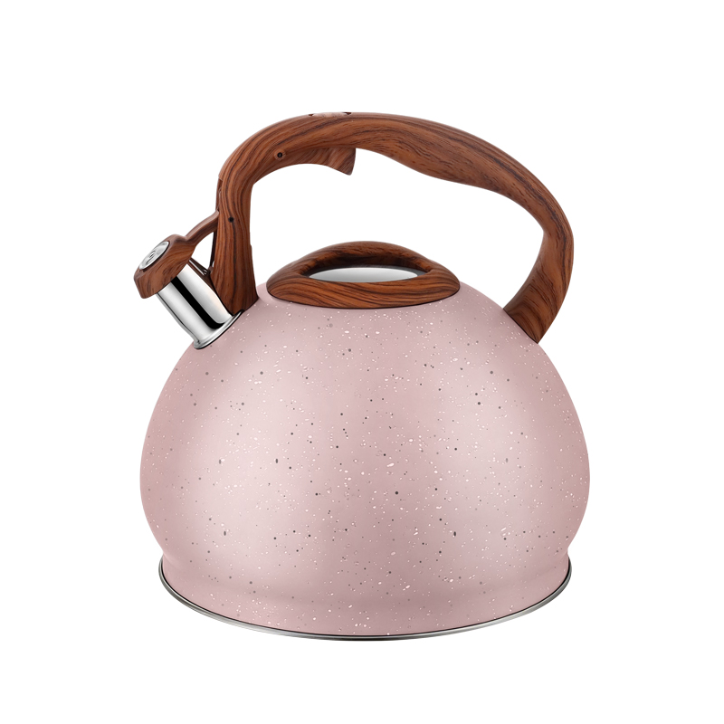 Bouilloire Sifflante Induction 3 L Inox Théières Pour Cuisinière, Bouilloire Gaz, Poignée