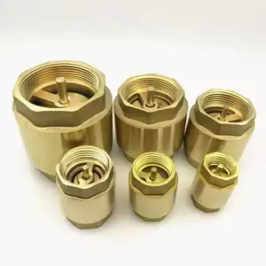 wholesale Vertical check valve spring copper brass check valve 1/4 1/2 3/4 1 2 inch