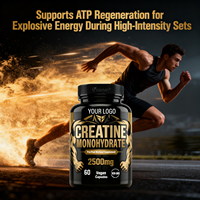 EUR US Offre Spéciale 2500mg Capsules de monohydrate de créatine pour adulte Supplément post-entraînement Croissance musculaire maigre et récupération rapide