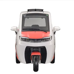 Fully enclosed electric tricycles car adult Europe road legal mobility tricycle