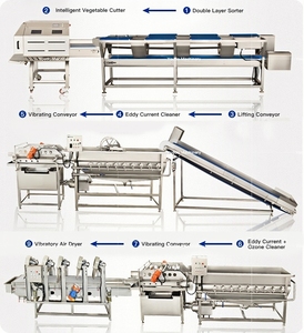 Línea de producción automática de lavado de verduras y frutas, línea de procesamiento de verduras para ensaladas, verduras de hoja verde y raíz - Product Image 4