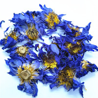 Fleur de lotus bleu d'Égypte fraîche et séchée Lan Lian Hua (Nymphaea Caerulea Savigny) pour thé, disponible en boîte ou en emballage individuel