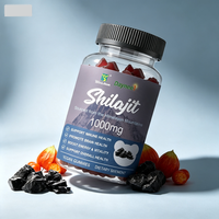 Gummies de Shilajit R40 – Soutien Énergétique de l'Himalaya pour la Vitalité Quotidienne – Végétalien – Marque Privée OEM ODM – Fabricant de Suppléments en Gros