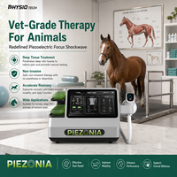 Appareil professionnel de thérapie par ondes de choc piézoélectriques focalisées ESWT pour animaux, chevaux, chiens, soulagement de la douleur
